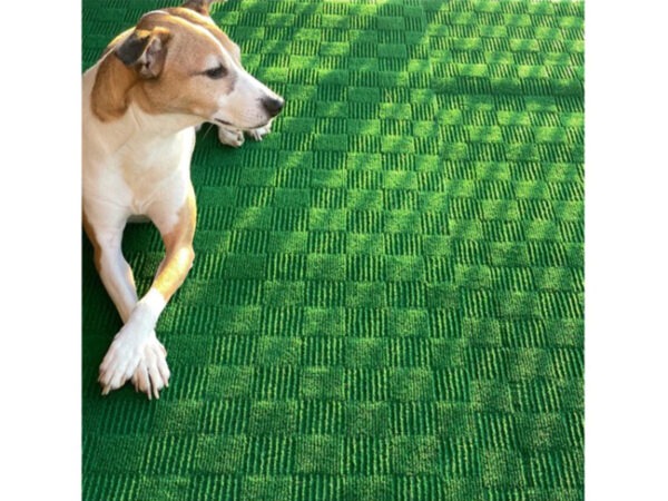 Designer Rollable Carpet - Indoor/Outdoor - Jade - Live Photo