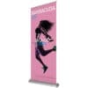 Barracuda 800 Retractable Banner Stands