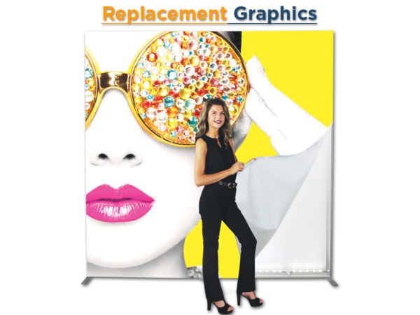 Replacement Graphics for Vector Frame Displays